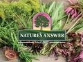 Nature’s Answer Echinacea and Goldenseal Herbal Liquid Supplement