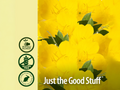 Nature's Answer Evening Primrose Oil Liquid with GLA - 120ml