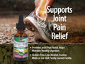 Nature’s Answer Ginger Root Herbal Liquid Supplement - 30ml