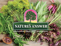 Nature’s Answer Ginger Root Herbal Liquid Supplement