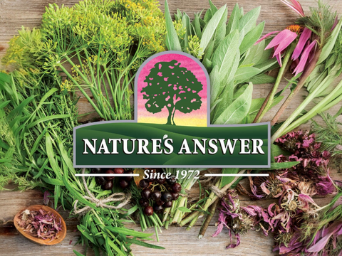 Nature’s Answer Ginger Root Herbal Liquid Supplement