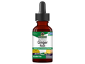 Nature's Answer Alcohol-Free Ginger Root Extract 30ml liquid herbal supplement front label