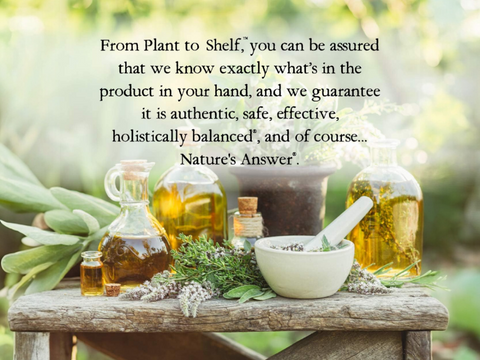 Nature's Answer Ginger Root Liquid Extract Alcohol-Free