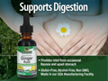 Nature's Answer Ginger Root Liquid Extract Alcohol-Free - 30ml