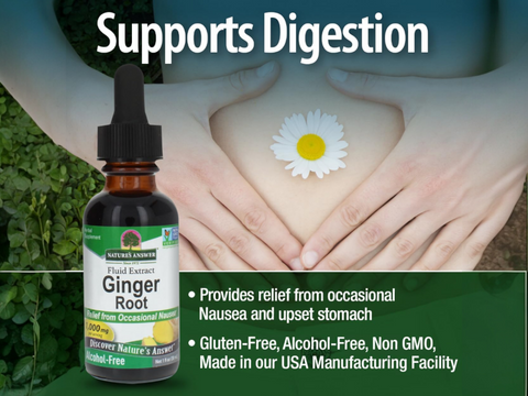 Nature's Answer Ginger Root Liquid Extract Alcohol-Free - 30ml