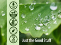 Nature's Answer Ginkgo Leaf Extract Alcohol-Free - 30ml