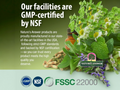 Nature's Answer Goldenseal Root Extract Alcohol-Free