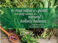 Nature's Answer Goldenseal Root Extract Alcohol-Free