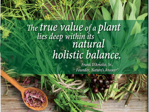 Nature's Answer Goldenseal Root Extract Alcohol-Free