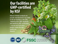 Nature’s Answer Goldenseal Root Liquid Low Alcohol 