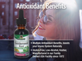 Nature’s Answer Goldenseal Root Liquid Low Alcohol - 30ml