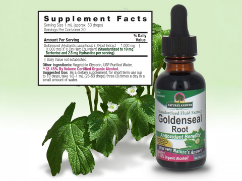 Nature’s Answer Goldenseal Root Liquid Extract 30ml supplement label and green leaves in the background