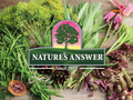 Nature’s Answer Goldenseal Root Liquid Low Alcohol 