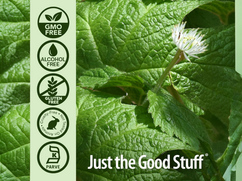 Nature’s Answer Goldenseal Root Liquid Low Alcohol - 30ml