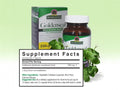 Nature’s Answer Goldenseal Root supplement facts 550mg 50 vegetarian capsules back label