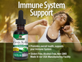 Nature’s Answer Gotu Kola Alcohol-Free Liquid Extract – 30ml