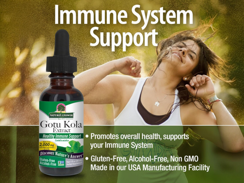 Nature’s Answer Gotu Kola Alcohol-Free Liquid Extract – 30ml