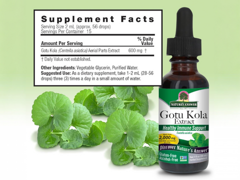 Nature’s Answer gotu kola supplement facts alcohol free 30ml back label