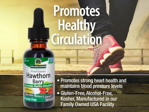 Nature’s Answer Hawthorn Berry Alcohol-Free Liquid Extract - 30ml