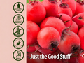 Nature’s Answer Hawthorn Berry Alcohol-Free Liquid Extract - 30ml