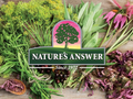 Nature’s Answer Hawthorn Berry Alcohol-Free Liquid Extract 