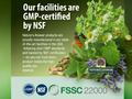 Nature’s Answer Herbal Blend Food Supplement - 90 Capsules