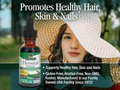 Nature's Answer Horsetail Alcohol-Free Herbal Extract - 30ml