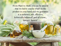 Nature's Answer Horsetail Alcohol-Free Herbal Extract 