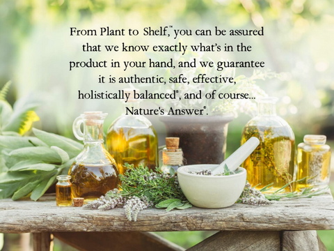 Nature's Answer Horsetail Alcohol-Free Herbal Extract 