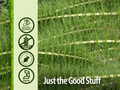 Nature's Answer Horsetail Alcohol-Free Herbal Extract - 30ml