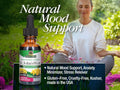 Nature’s Answer Hypericum Perforatum Liquid Extract – 30ml Liquid ingredients and product details panel