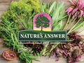 Nature’s Answer Hyssop Herb Herbal Liquid Supplement 
