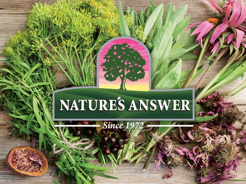 Nature’s Answer Hyssop Herb Herbal Liquid Supplement 