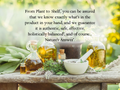 Nature’s Answer Kids Mullein Leaf Alcohol-Free Liquid Supplement 