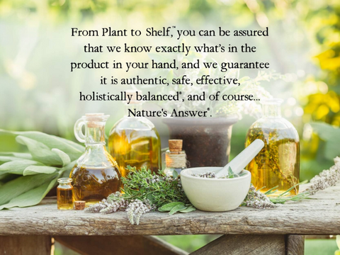 Nature’s Answer Kids Mullein Leaf Alcohol-Free Liquid Supplement 