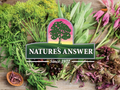 Nature’s Answer Kids Mullein Leaf Alcohol-Free Liquid Supplement 