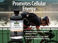 Nature's Answer L-Carnitine Liquid Supplement - 480ml