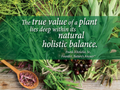 Nature's Answer L-Carnitine Liquid Supplement