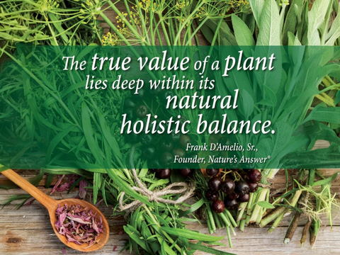 Nature's Answer L-Carnitine Liquid Supplement
