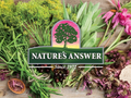 Nature’s Answer Licorice Root Herbal Liquid Supplement