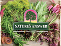 Nature’s Answer Liquid Norwegian Cod Liver Oil Lemon Lime 