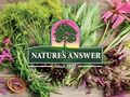 Nature's Answer Liquid Vitamin B-Complex Tangerine