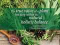 Nature's Answer Liver Support Herbal Blend Alcohol Free - 30ml