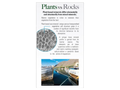 Nature's Answer Marine Based Magnesium Plant-Based Capsules 90 count back box label