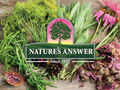 Nature’s Answer Melatonin Food Supplement Liquid 