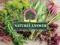 Nature’s Answer Men’s Herbal Food Supplement