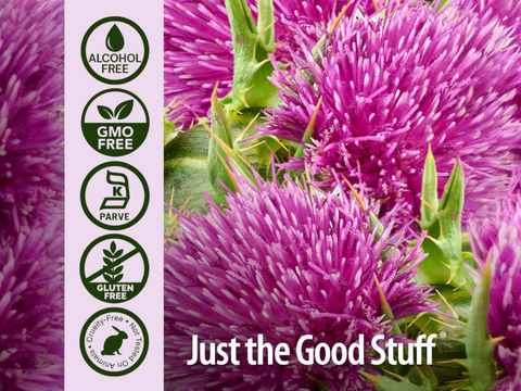 Nature’s Answer Milk Thistle Seed Alcohol-Free Liquid Extract – 30ml