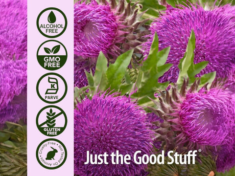 Nature’s Answer Milk Thistle Seed Liquid Extract Alcohol-Free - 60ml