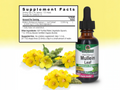 Nature’s Answer Mullein Leaf supplement facts low alcohol 60ml back label on a white background