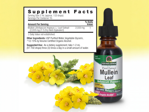 Nature’s Answer Mullein Leaf supplement facts low alcohol 60ml back label on a white background